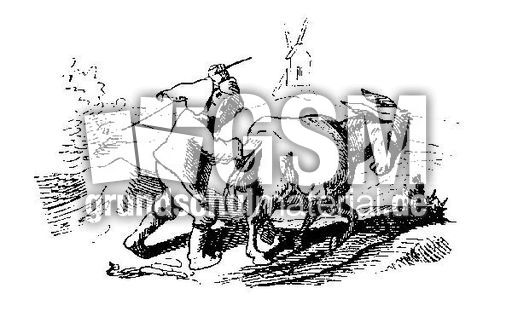 Bauer-Mueller sw_01.jpg